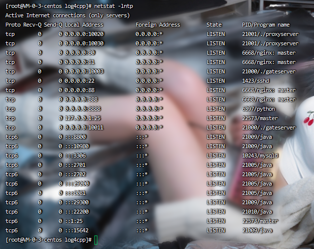图片[3]-【初见西游】2022婉婉整理服务端+单安卓客户端+GM后台+视频教程