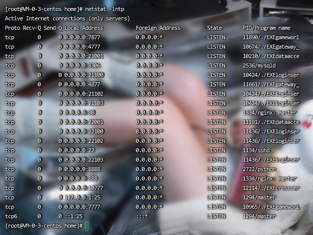 图片[4]-【一问多情】2022婉婉整理服务端+单安卓客户端+GM授权/玩家后台+视频教程
