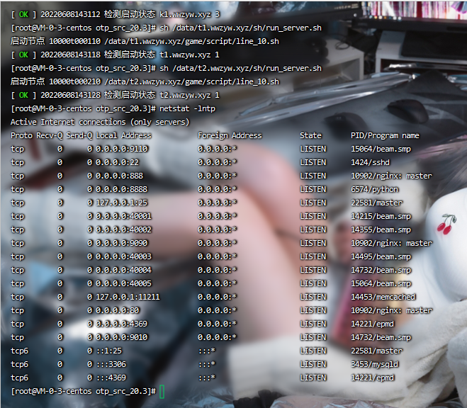 图片[5]-【寻秦记】2022婉婉整理服务端+单安卓客户端+运营/GM授权/玩家后台+视频教程