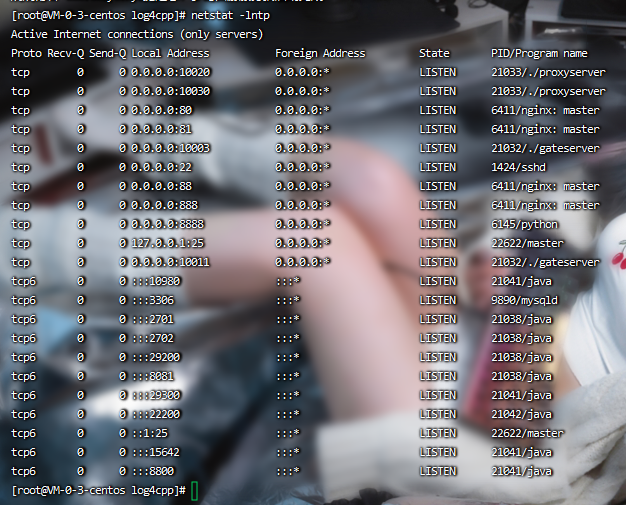 图片[5]-【我叫MT3】2022婉婉整理服务端+单安卓客户端+管理/GM后台+视频教程